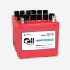 G-244 GILL Teledyne Gill Dry Charged Aircraft Battery 24 Volt