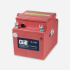 GILL G-245 BATTERY WITH ACID