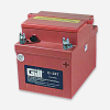 GILL G-247 BATTERY WITH ACID
