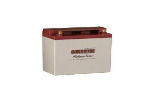 RG-35AXC Concorde 12V SEALED Aircraft Battery (XC Platinum Series)