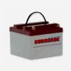 RG24-10 Concorde 12V SEALED Aircraft Battery