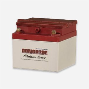 RG24-11M Concorde 24V SEALED Aircraft Battery