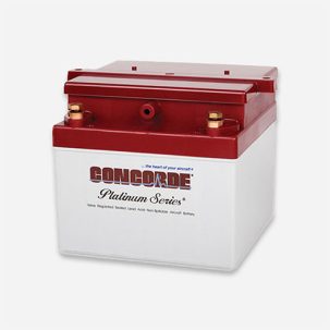 RG24-15M Concorde 24V SEALED Aircraft Battery (XC Platinum Series)