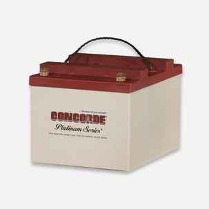 RG24-20 Concorde 24V SEALED Aircraft Battery